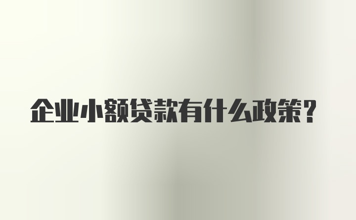 企业小额贷款有什么政策？