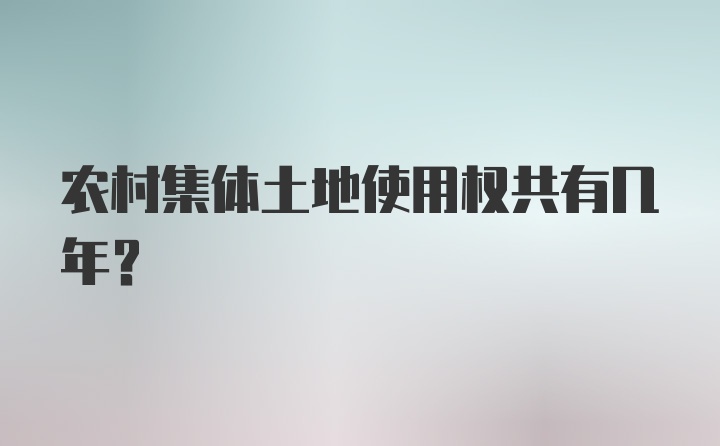 农村集体土地使用权共有几年？