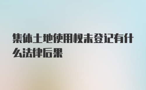 集体土地使用权未登记有什么法律后果