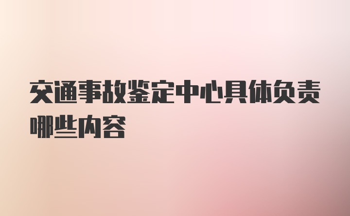 交通事故鉴定中心具体负责哪些内容