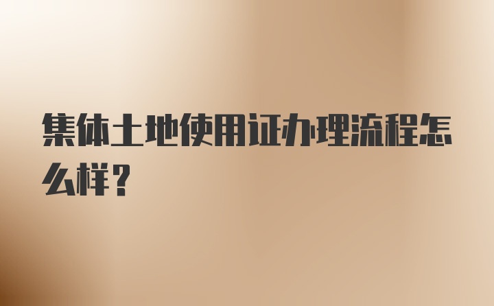 集体土地使用证办理流程怎么样？