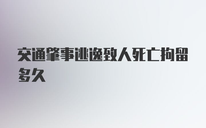 交通肇事逃逸致人死亡拘留多久