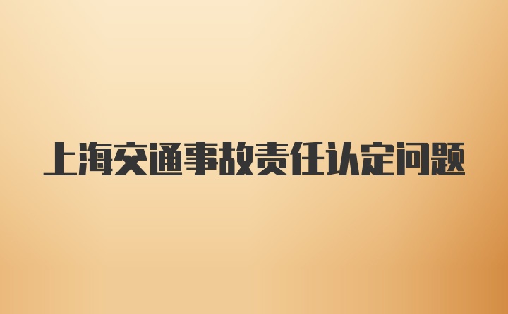 上海交通事故责任认定问题