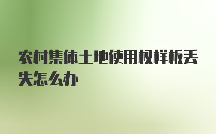 农村集体土地使用权样板丢失怎么办