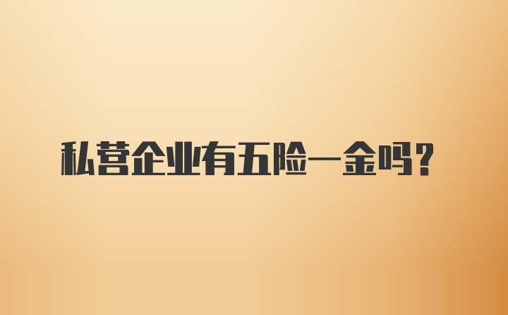 私营企业有五险一金吗？