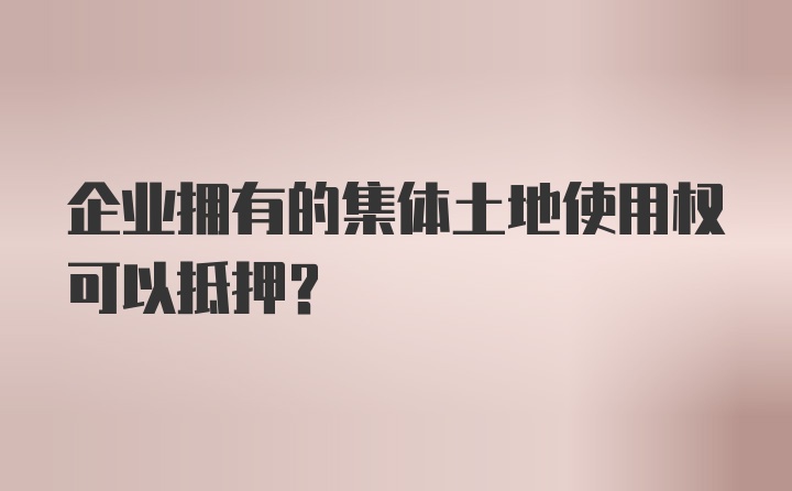 企业拥有的集体土地使用权可以抵押？