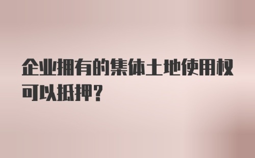 企业拥有的集体土地使用权可以抵押？