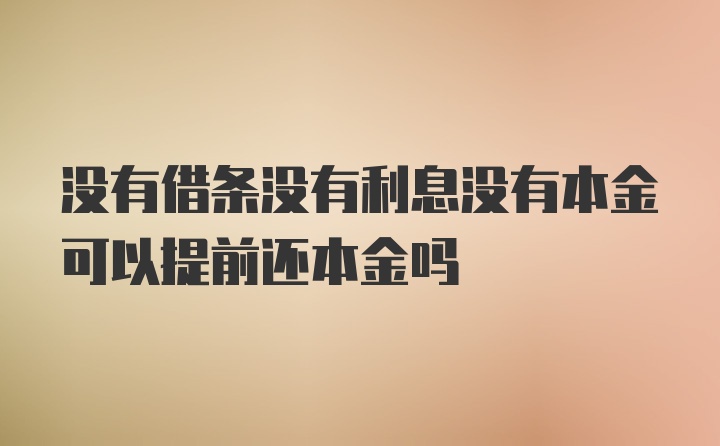 没有借条没有利息没有本金可以提前还本金吗