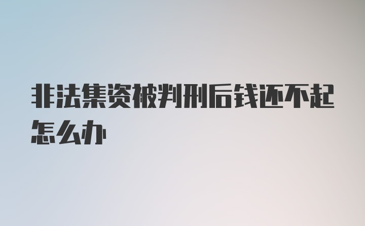 非法集资被判刑后钱还不起怎么办