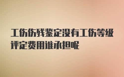 工伤伤残鉴定没有工伤等级评定费用谁承担呢