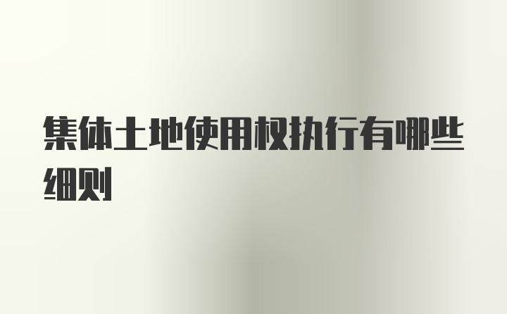 集体土地使用权执行有哪些细则