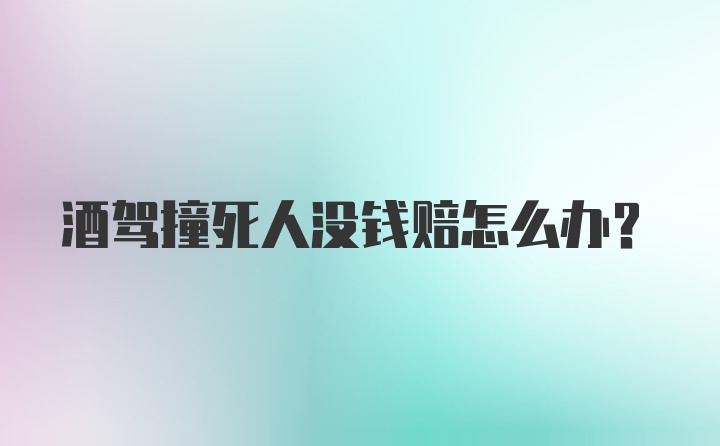 酒驾撞死人没钱赔怎么办?