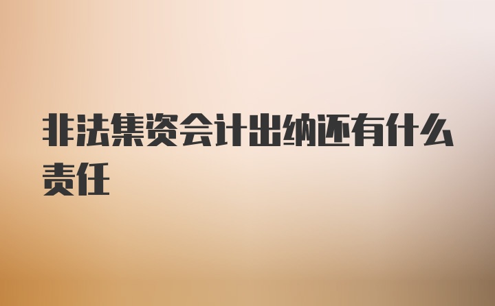 非法集资会计出纳还有什么责任