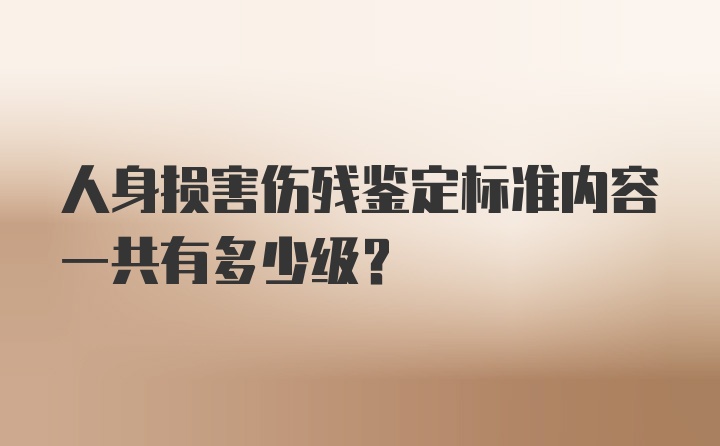 人身损害伤残鉴定标准内容一共有多少级?