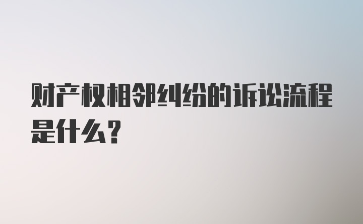 财产权相邻纠纷的诉讼流程是什么？