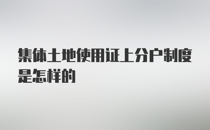 集体土地使用证上分户制度是怎样的