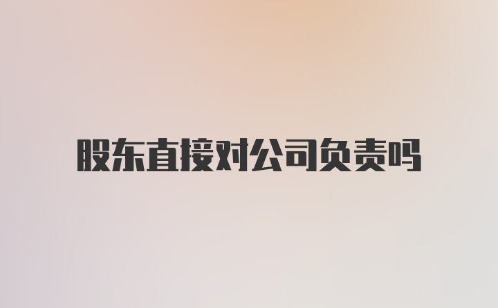 股东直接对公司负责吗