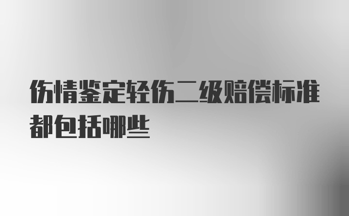 伤情鉴定轻伤二级赔偿标准都包括哪些