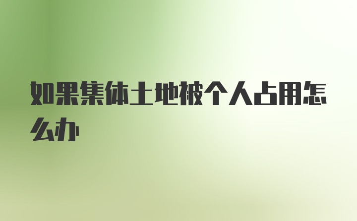 如果集体土地被个人占用怎么办