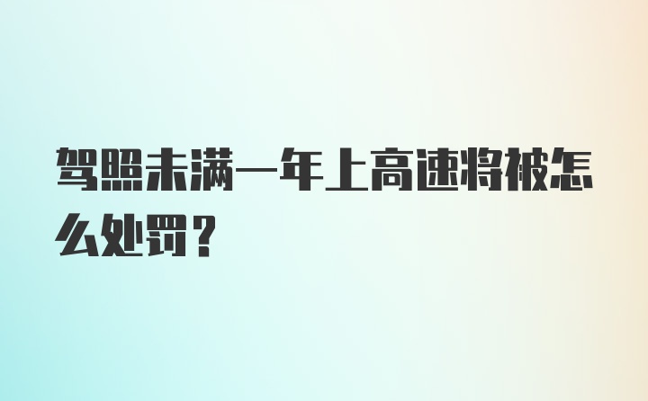 驾照未满一年上高速将被怎么处罚？