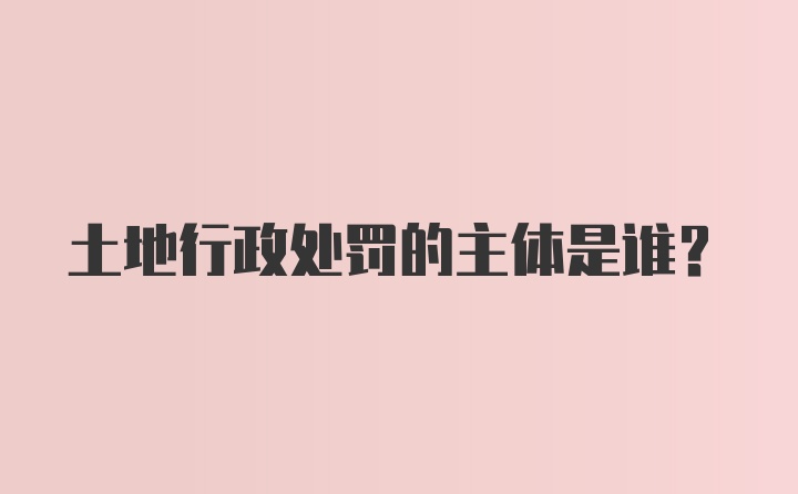 土地行政处罚的主体是谁？