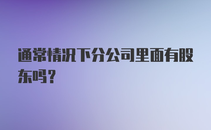 通常情况下分公司里面有股东吗?