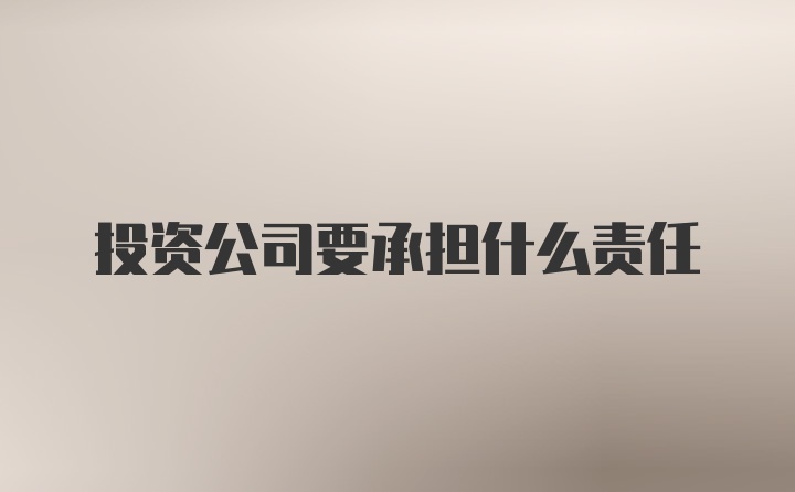 投资公司要承担什么责任