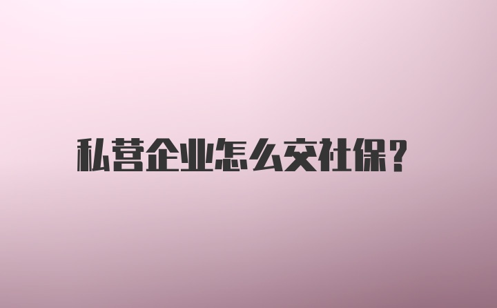 私营企业怎么交社保？