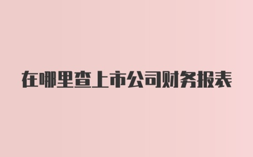 在哪里查上市公司财务报表