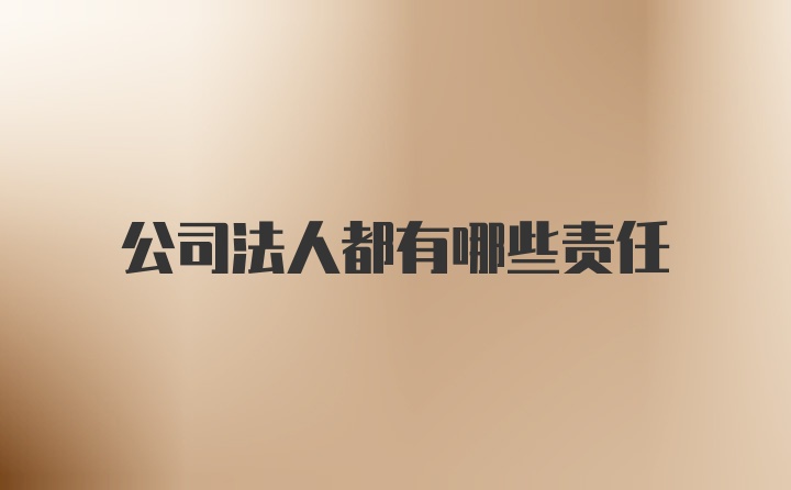 公司法人都有哪些责任