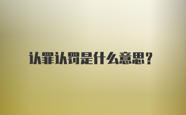 认罪认罚是什么意思？