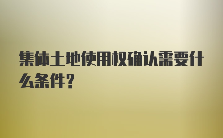 集体土地使用权确认需要什么条件?