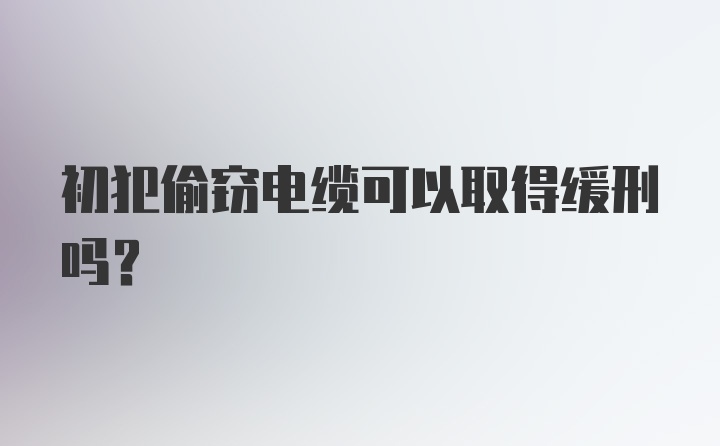 初犯偷窃电缆可以取得缓刑吗?