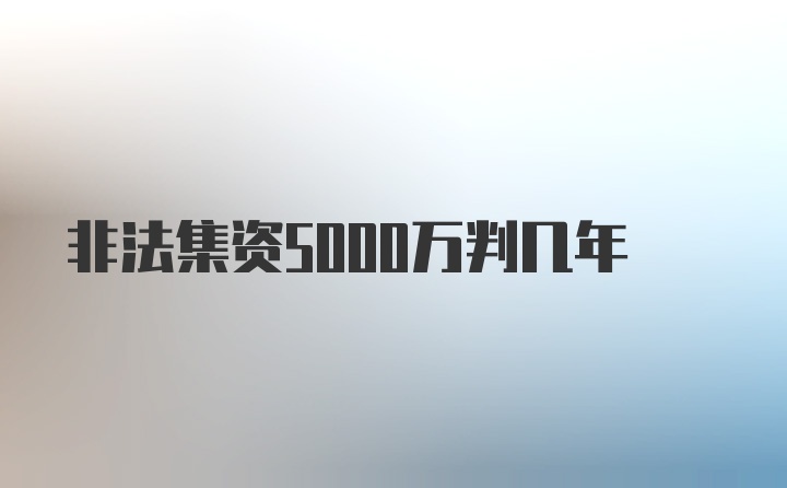 非法集资5000万判几年