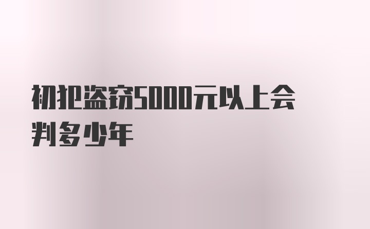 初犯盗窃5000元以上会判多少年