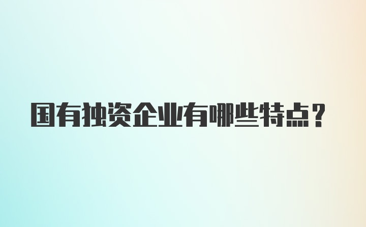 国有独资企业有哪些特点？