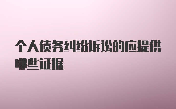 个人债务纠纷诉讼的应提供哪些证据