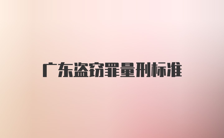 广东盗窃罪量刑标准