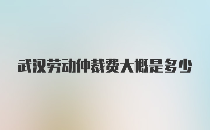 武汉劳动仲裁费大概是多少