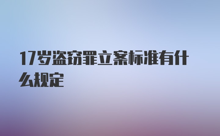 17岁盗窃罪立案标准有什么规定