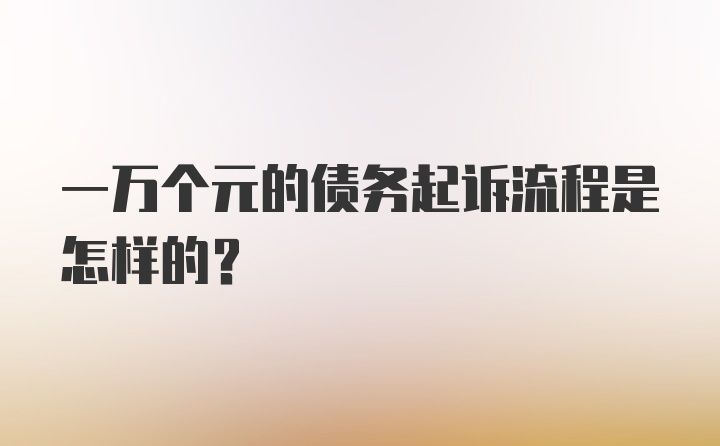 一万个元的债务起诉流程是怎样的？