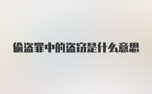 偷盗罪中的盗窃是什么意思