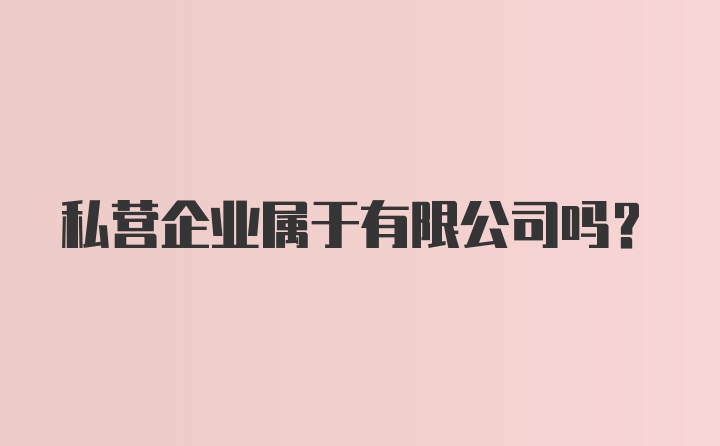 私营企业属于有限公司吗？