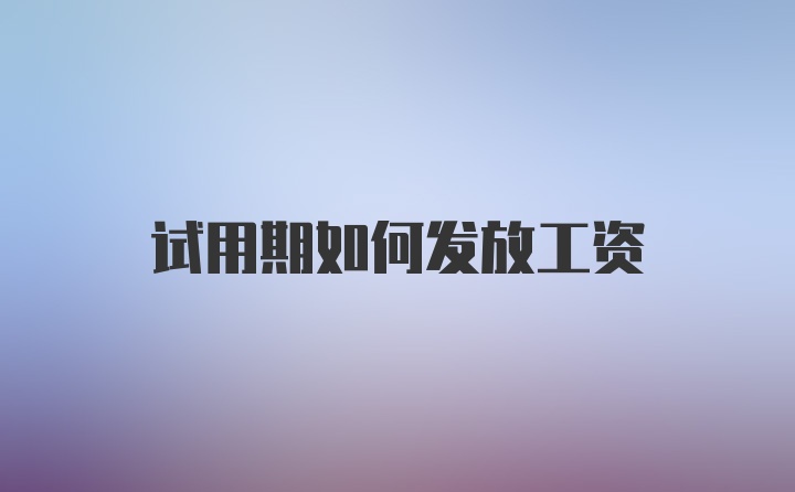 试用期如何发放工资