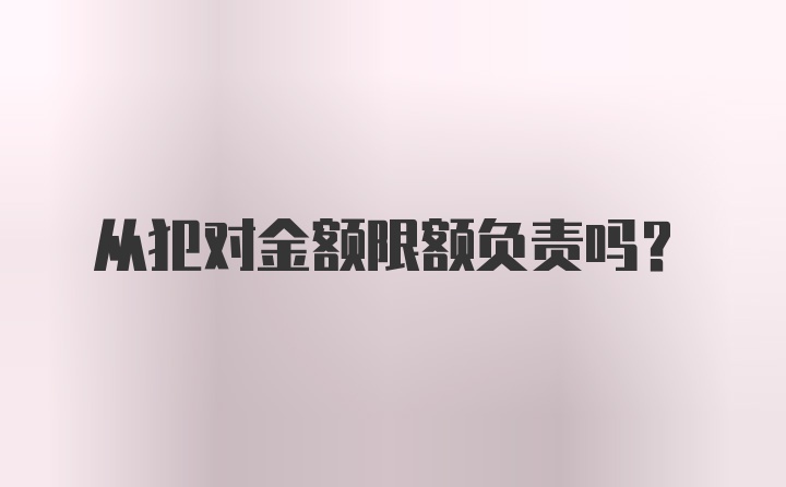 从犯对金额限额负责吗？