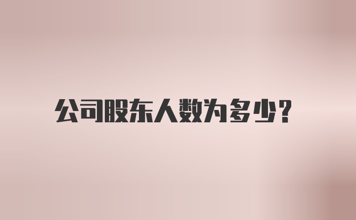 公司股东人数为多少？