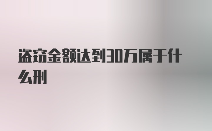 盗窃金额达到30万属于什么刑