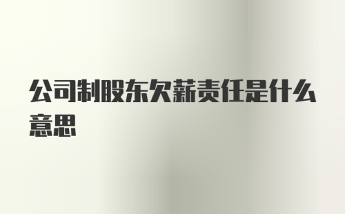 公司制股东欠薪责任是什么意思