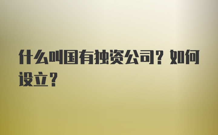 什么叫国有独资公司？如何设立？