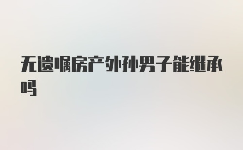 无遗嘱房产外孙男子能继承吗